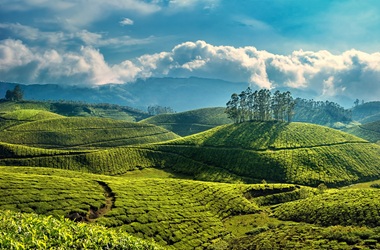 Munnar-Kerala