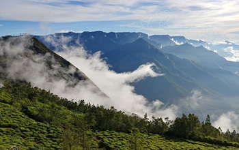 Misty Munnar with Cochin